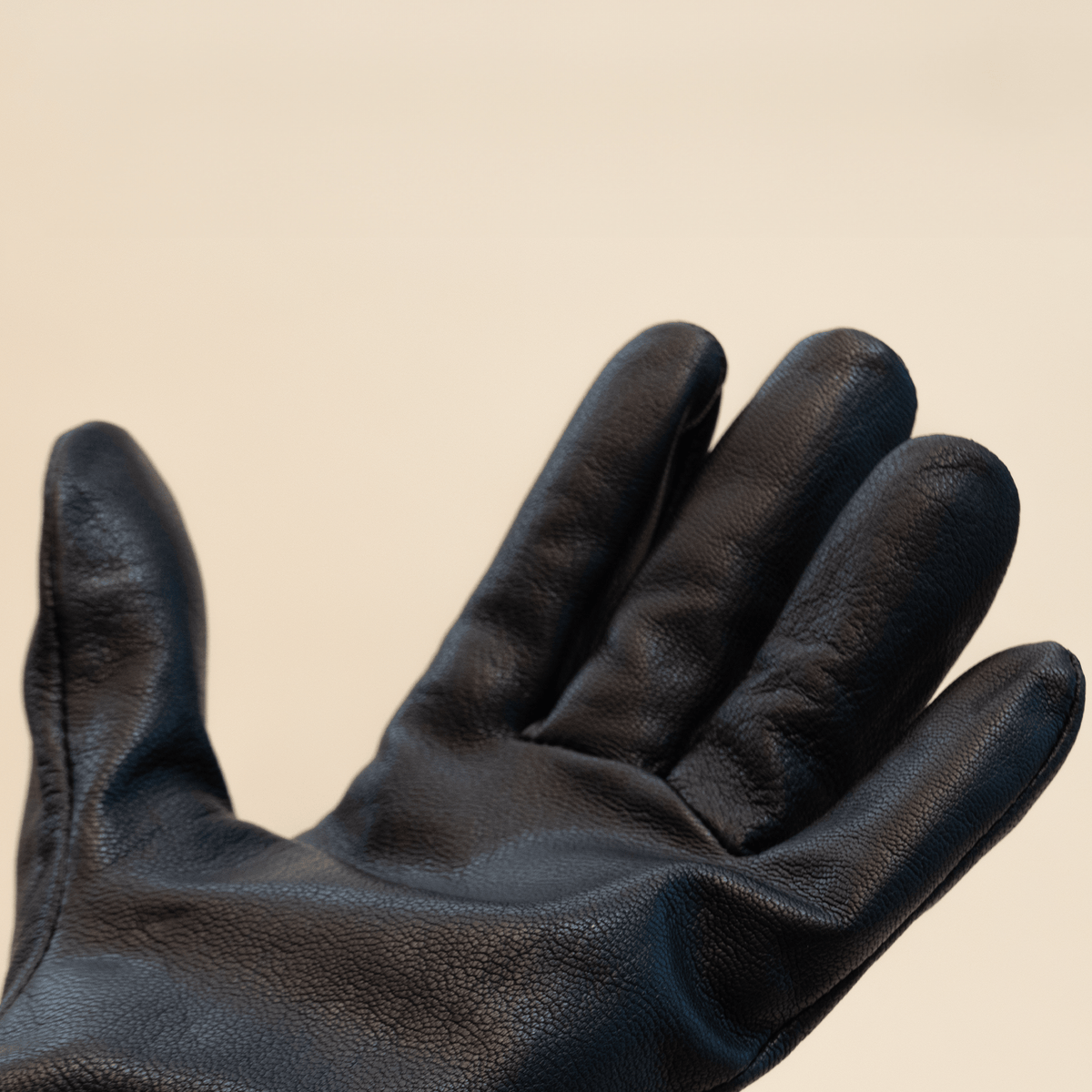 Slip - On Dress Glove8