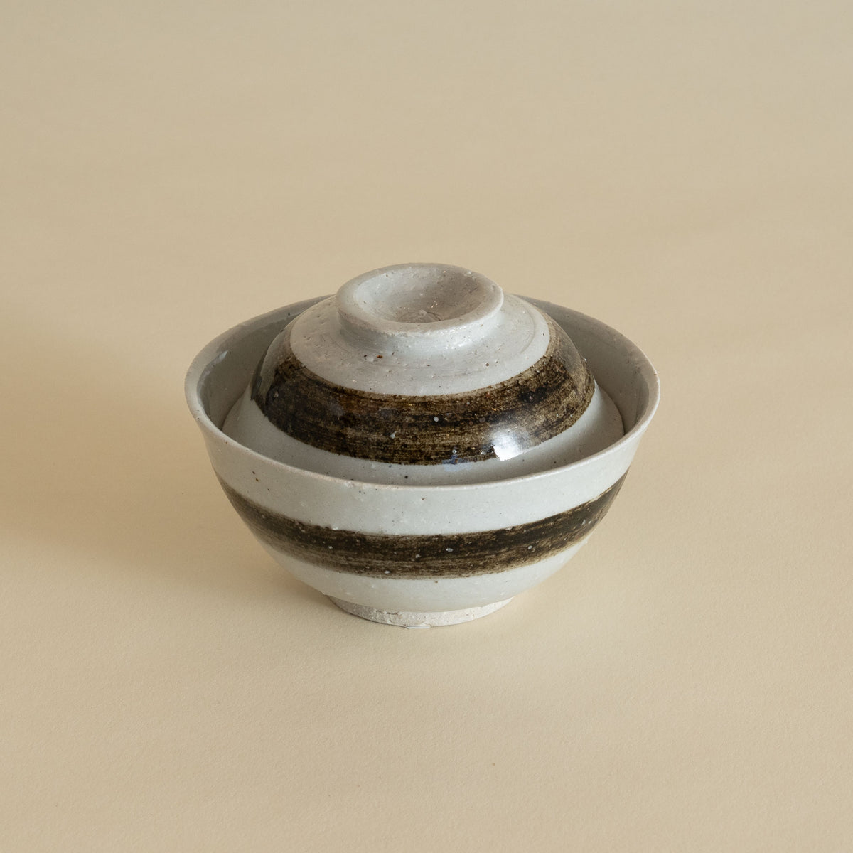 Iga Rice Bowl with Lid - Painting