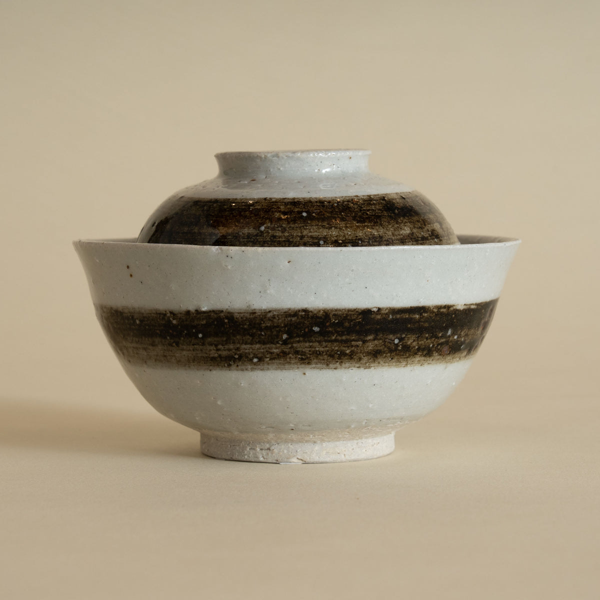 Iga Rice Bowl with Lid - Painting