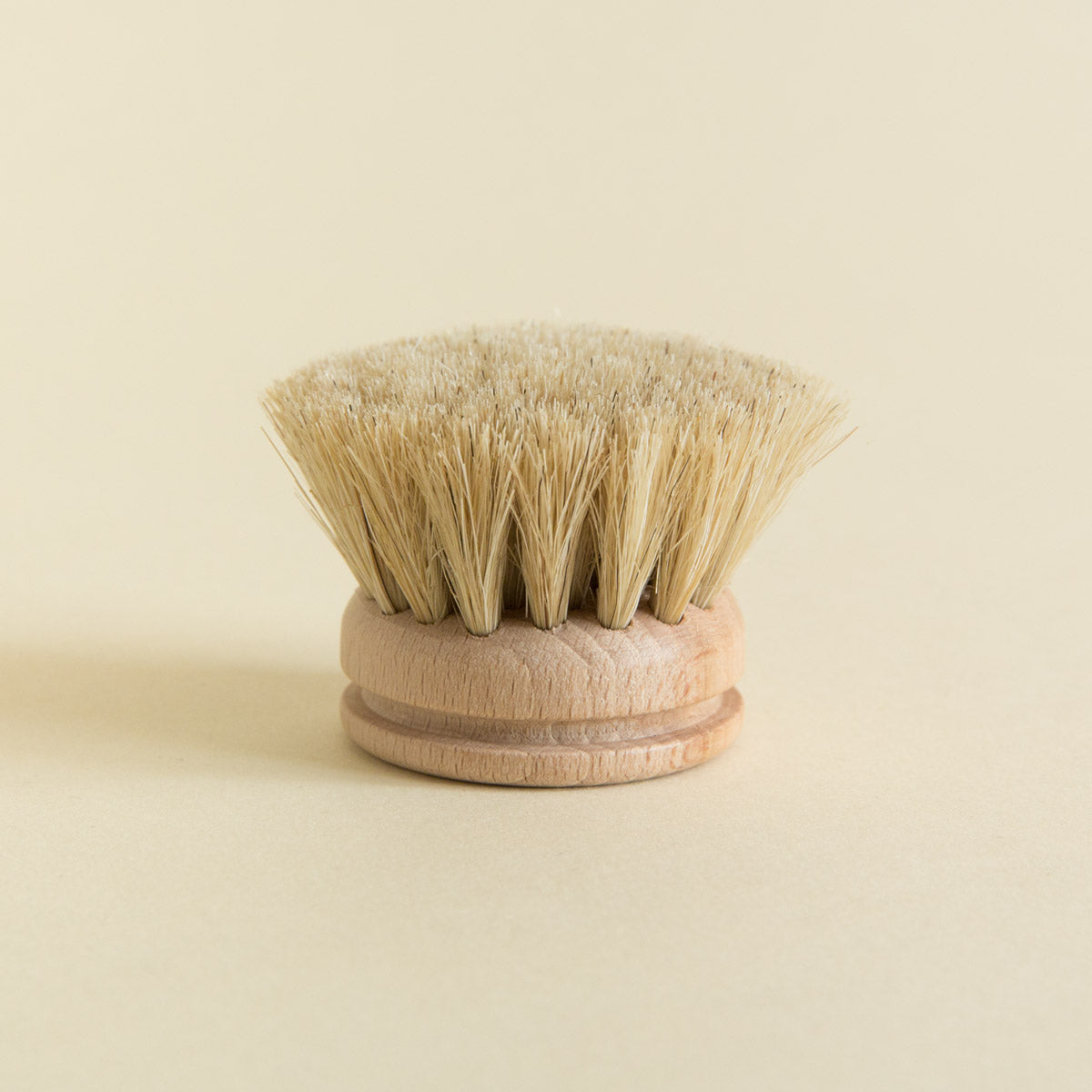 Everyday Dish Brush