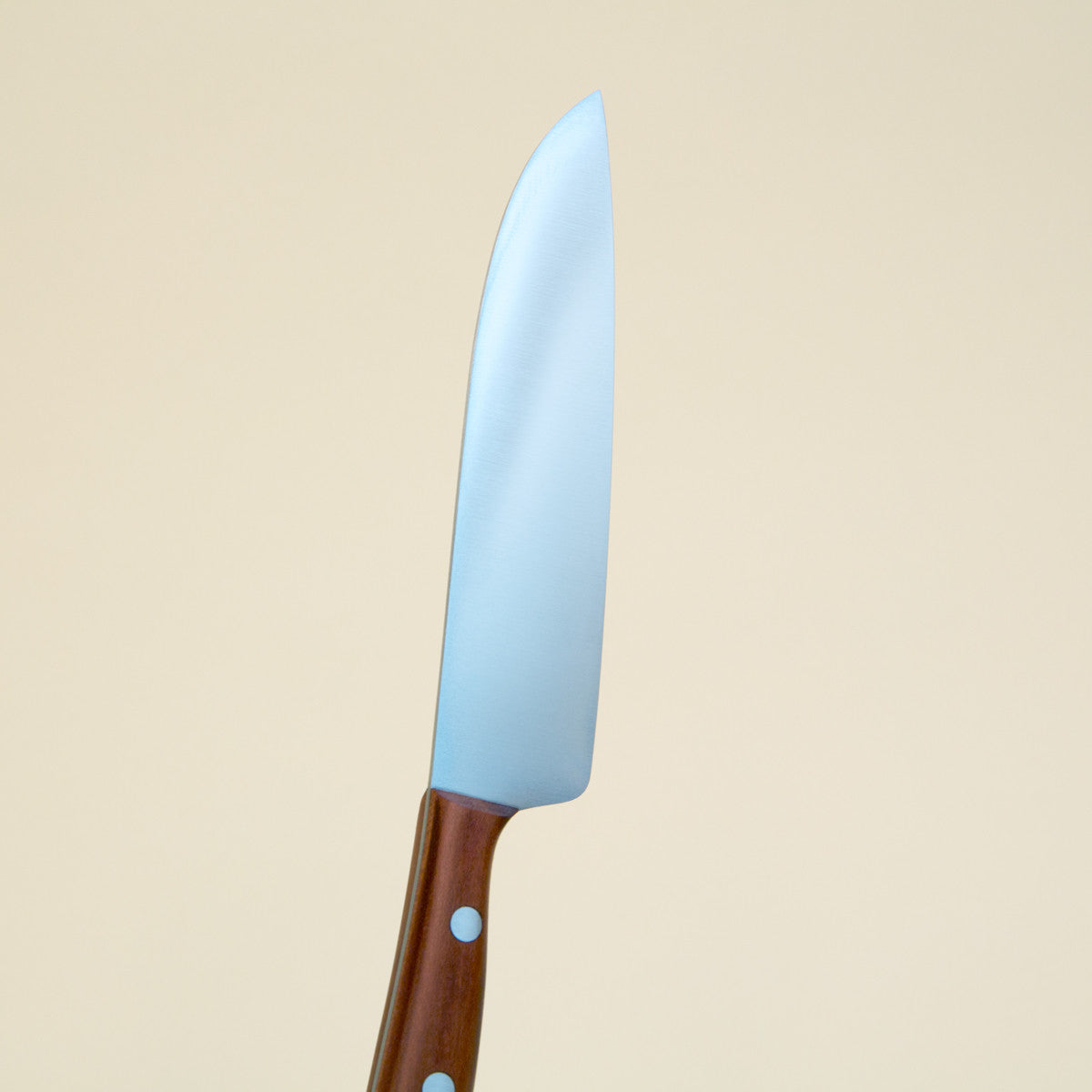 K3 Filleting Knife - Plum