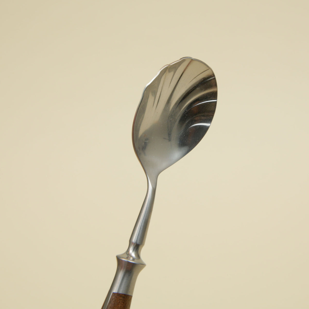 Eichenlaub Hand-Forged Sugar Spoon