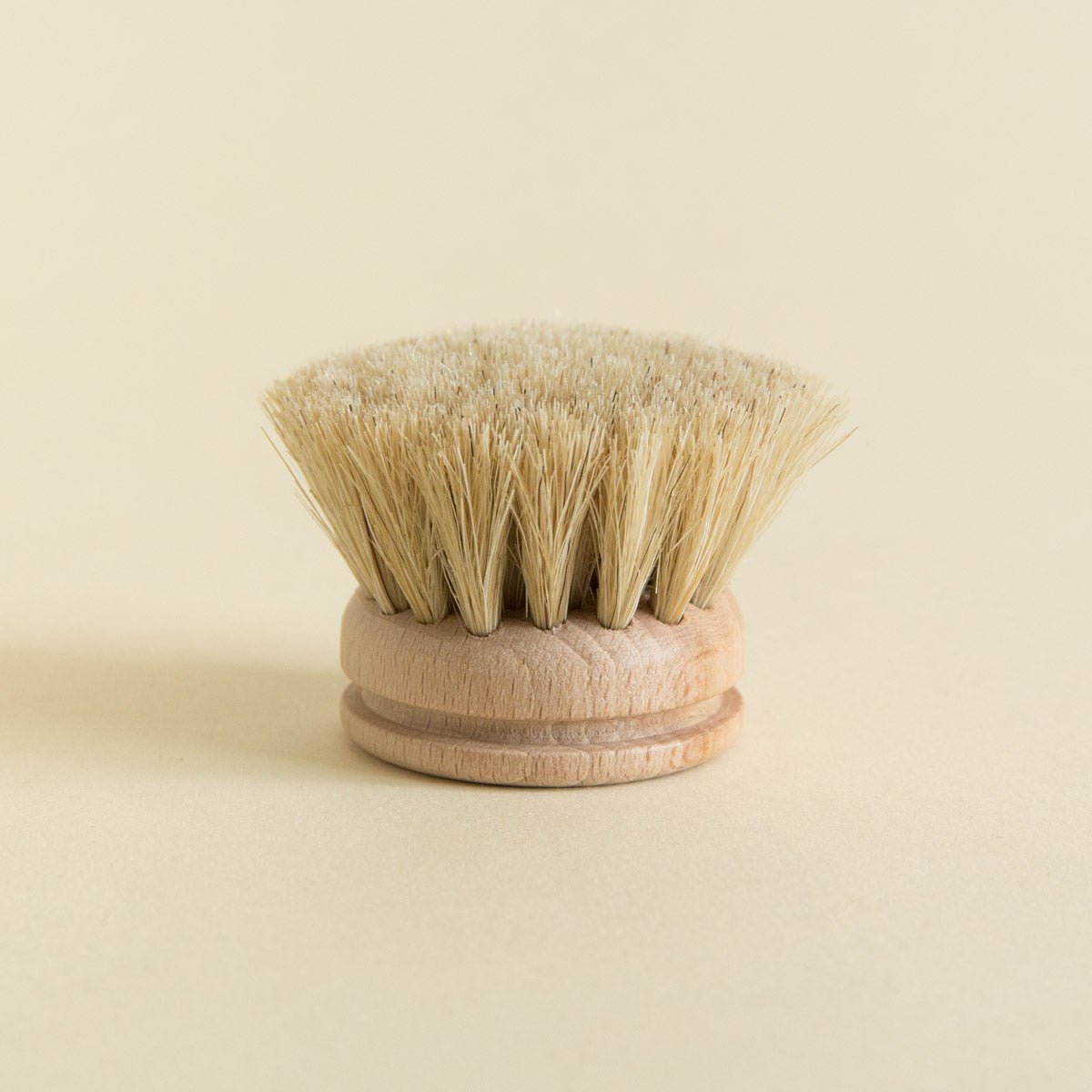 Everyday Dish BrushDish Brush