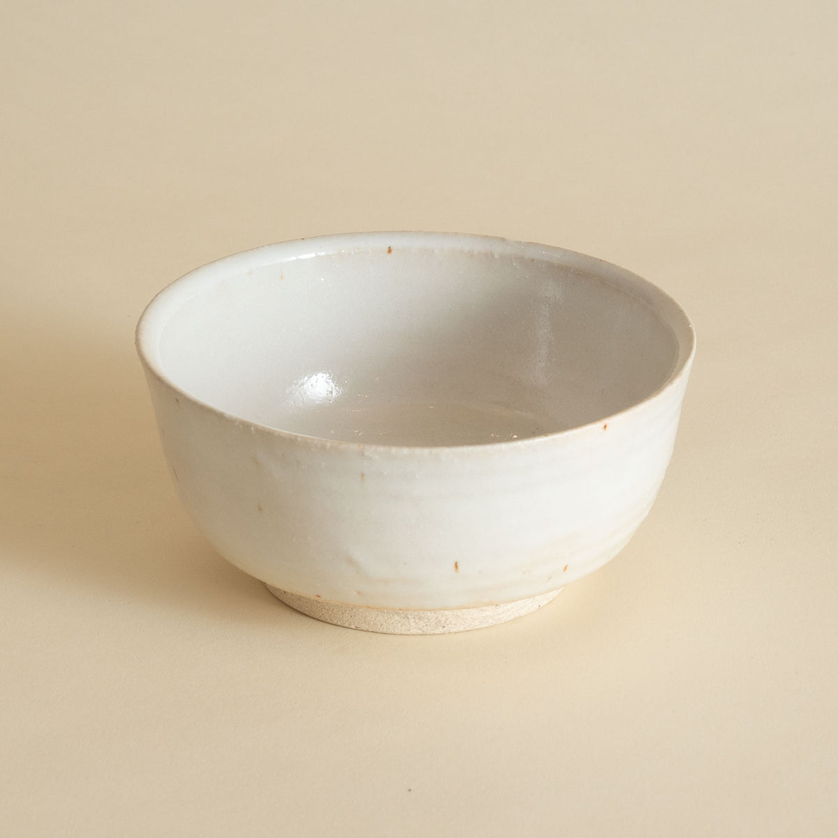 Iga Donburi Bowl - Shino