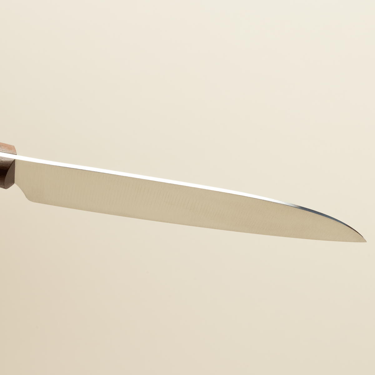 K3 Filleting Knife - PlumPlum w/ Stainless Steel Rivets