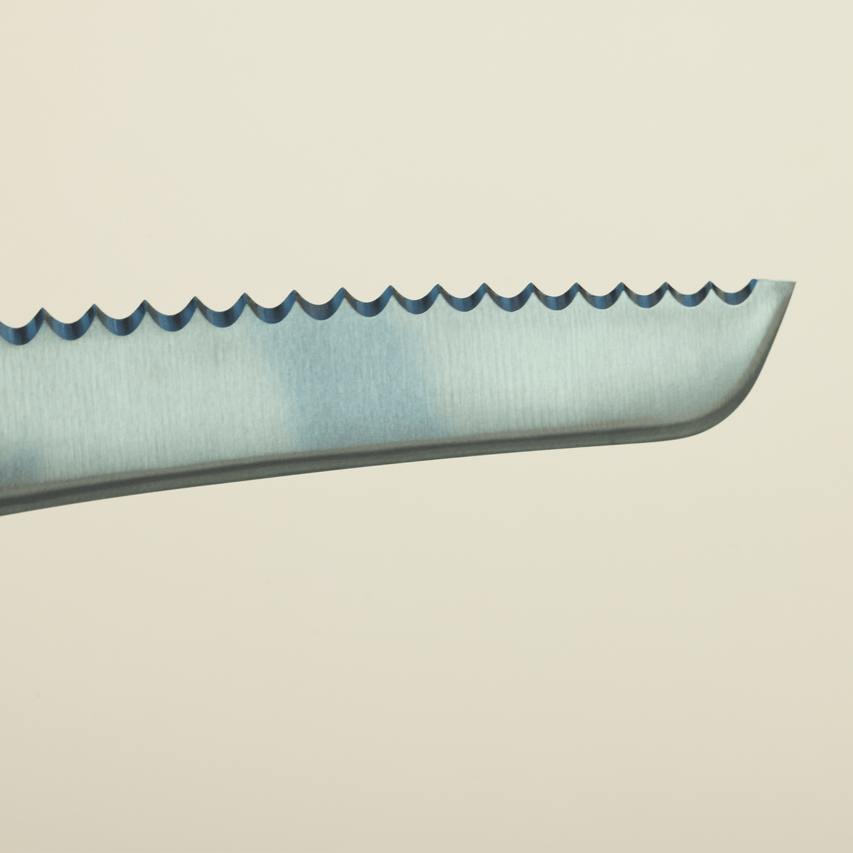 KB2 Bread Knife - PlumPlum w/ Brass Rivets