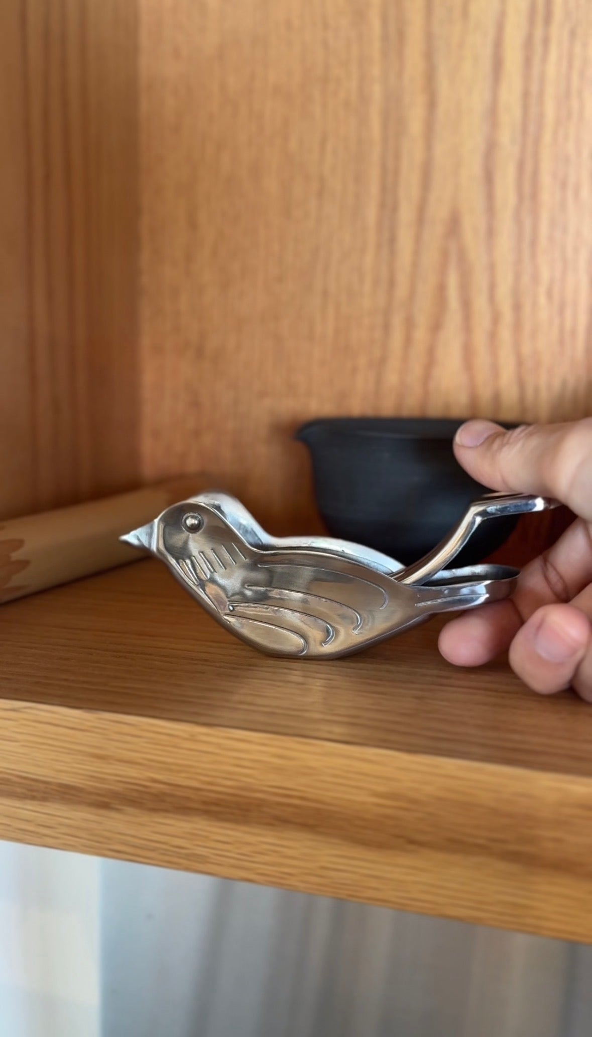 Bird Lemon Squeezer Stainless Steel