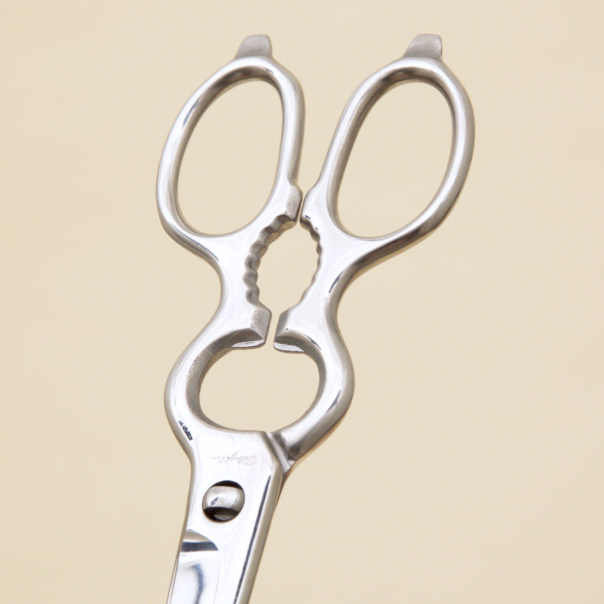 Shuoji Multifunctional Kitchen Scissors Knives Detachable