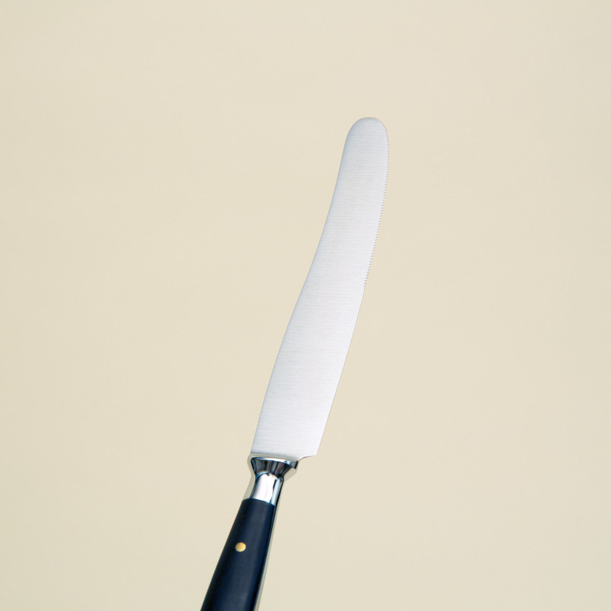 Table Knife - POM