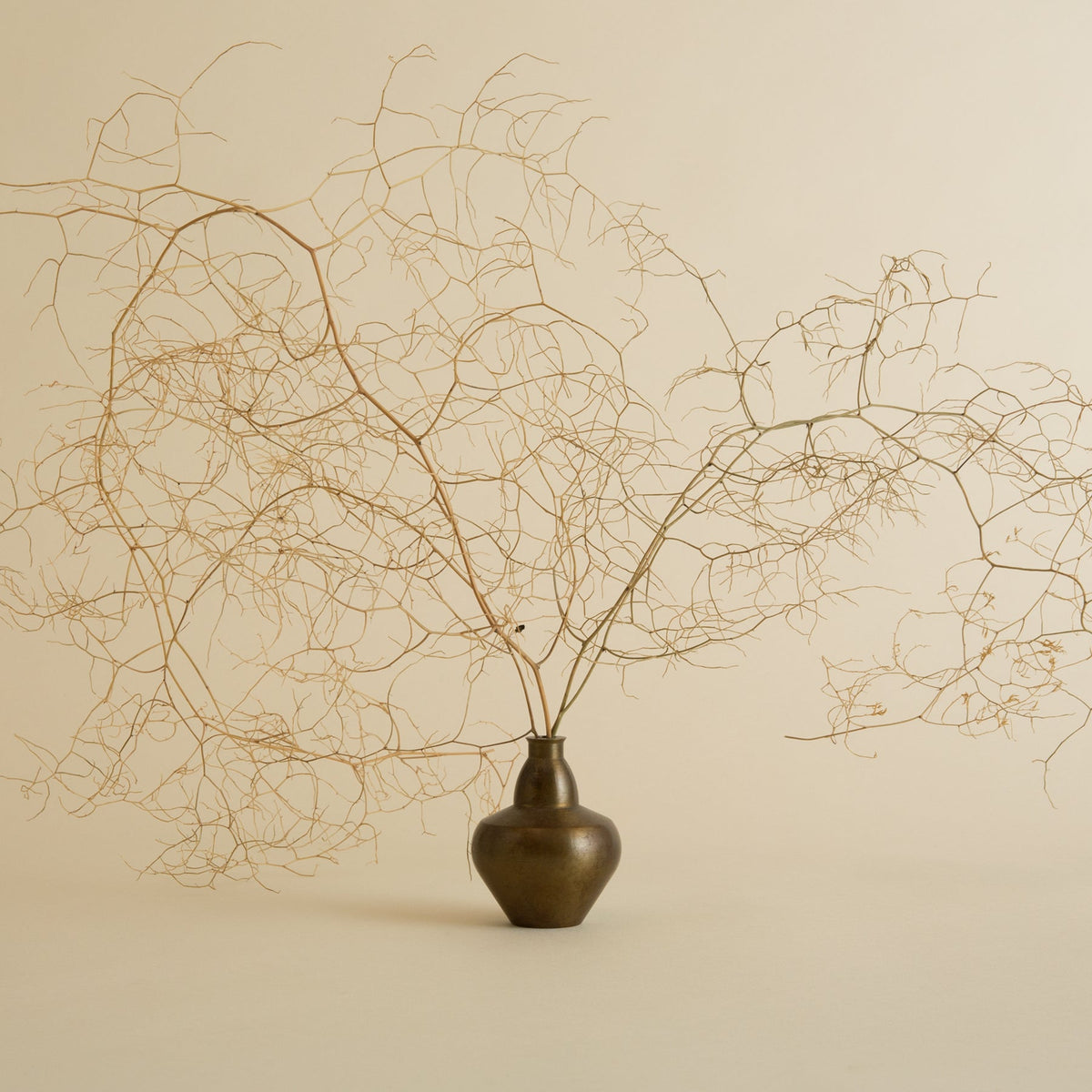 Brass Flower Vase