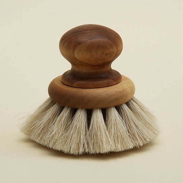 Dish Brush