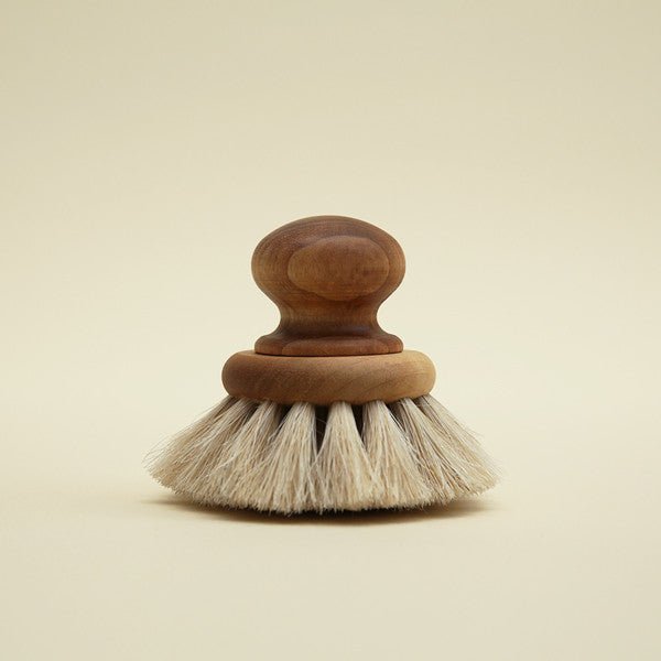 Dish Brush