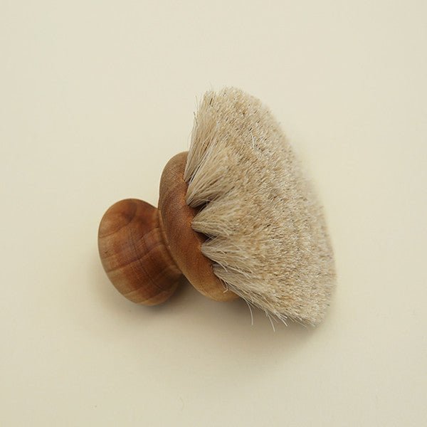 Dish Brush