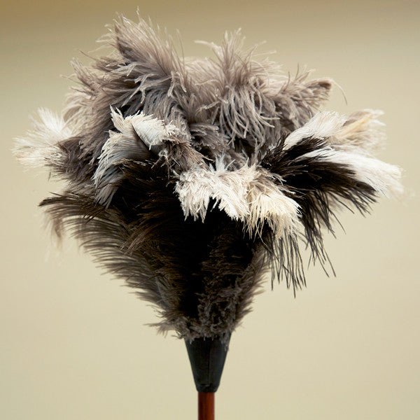 Feather Duster - 35.5”