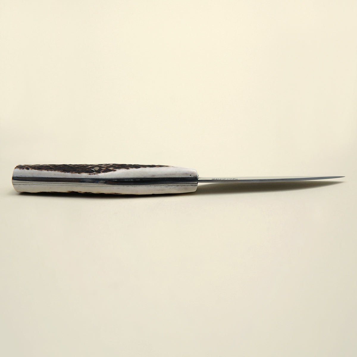 Folding Knife - Deer Antler