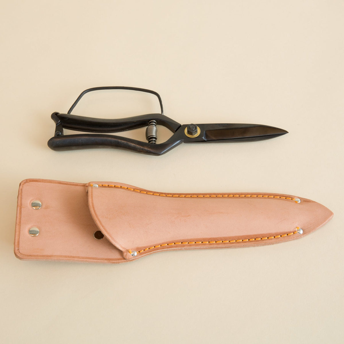 Landscaping Shears - 250mm