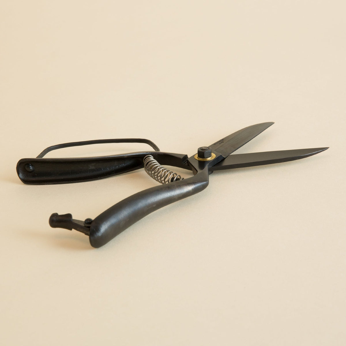 Landscaping Shears - 250mm