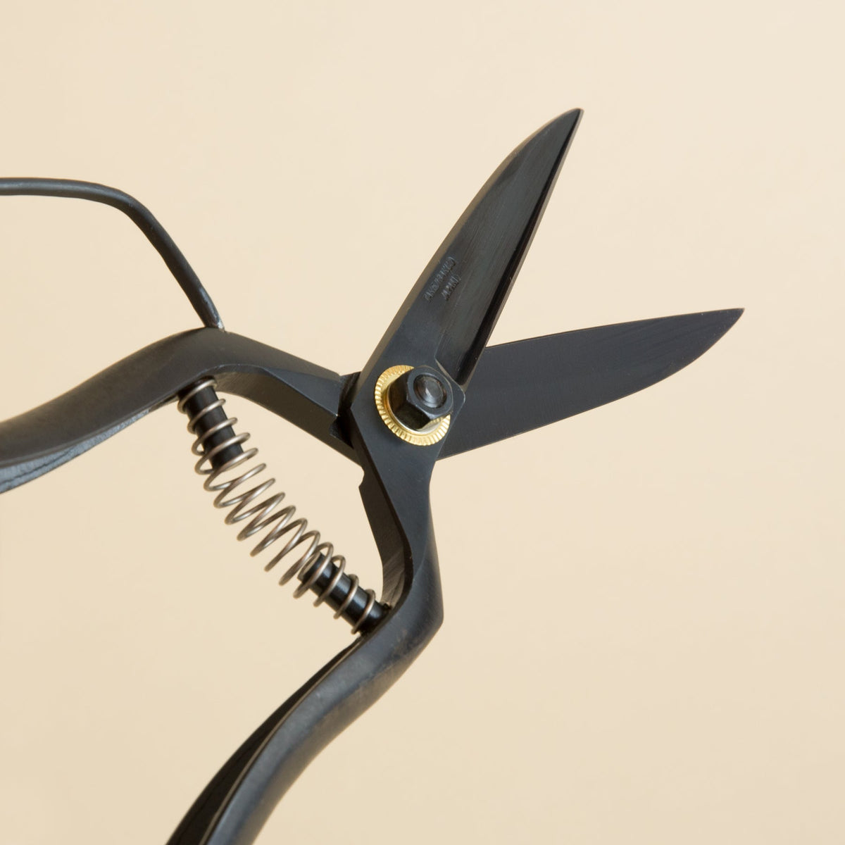 Landscaping Shears - 250mm