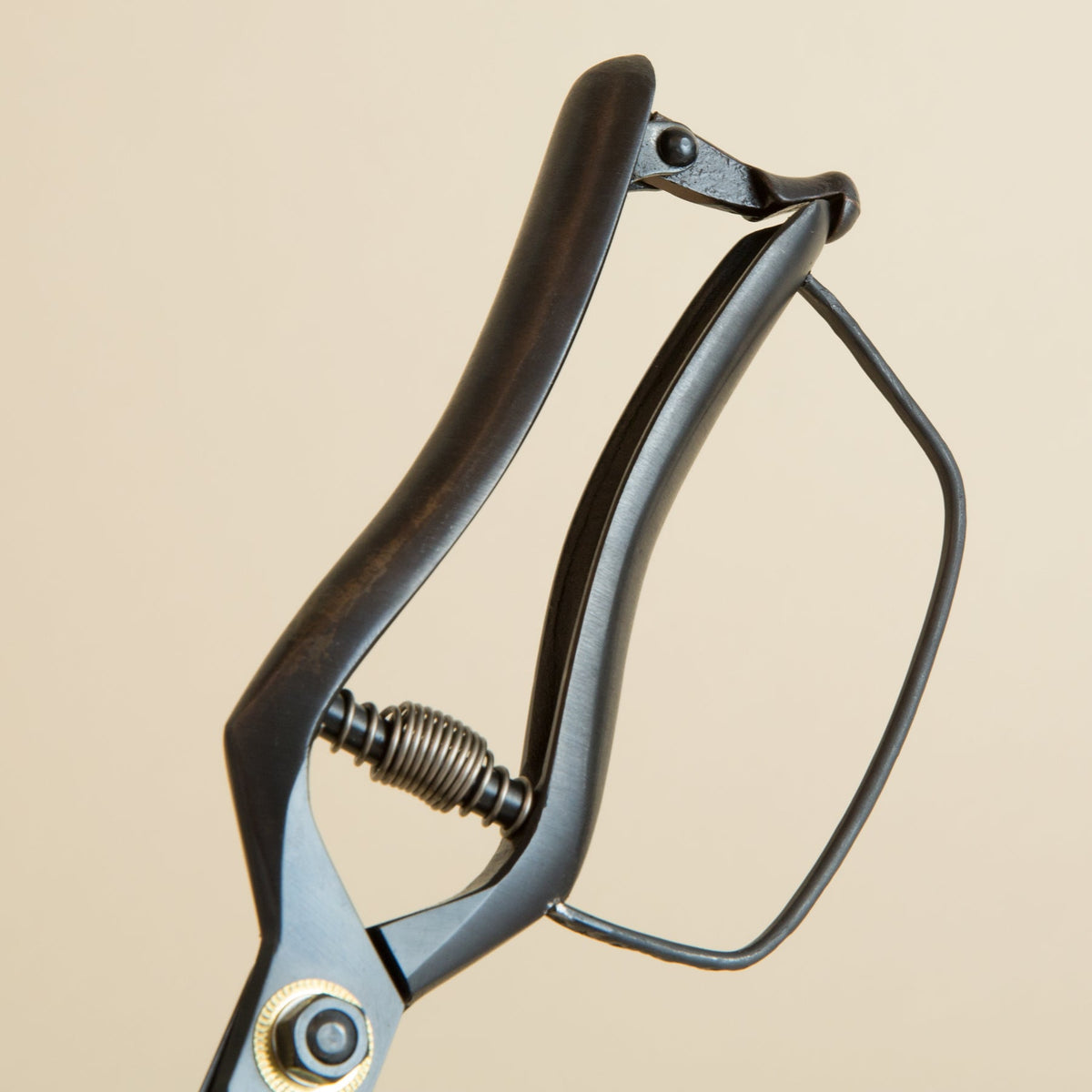 Landscaping Shears - 250mm