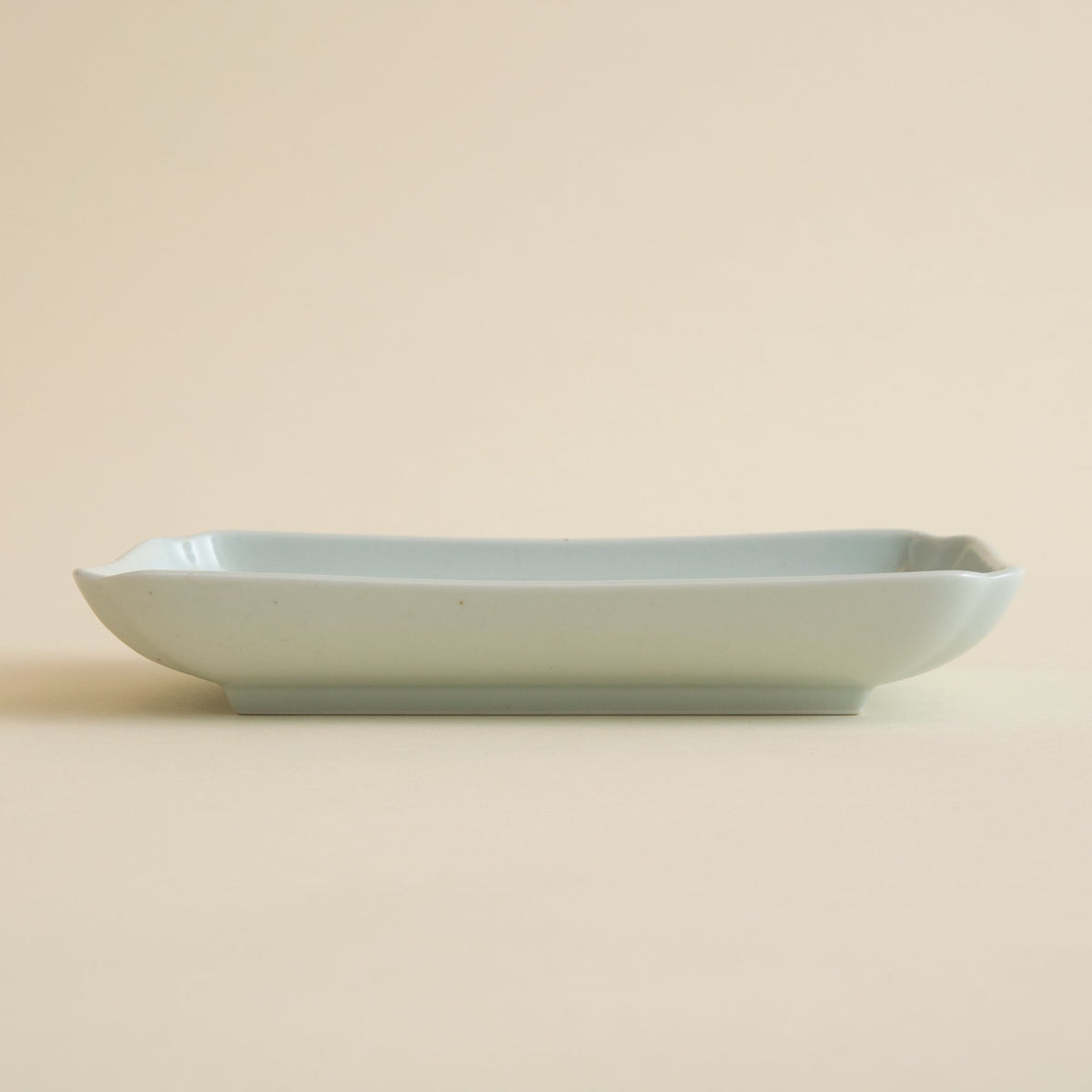 Porcelain Rectangle Plate