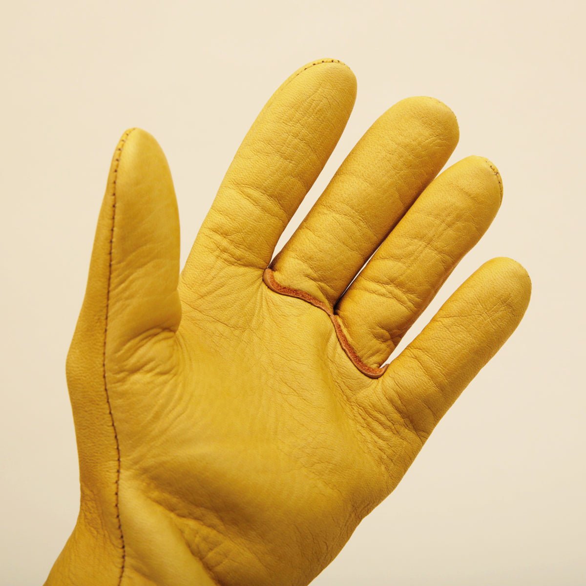 Working Gloves7